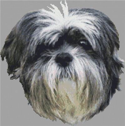 (image for) Silver and White Havanese
